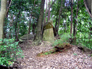 小野妹子の墓 滋賀