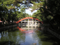 �Z�g��Д���